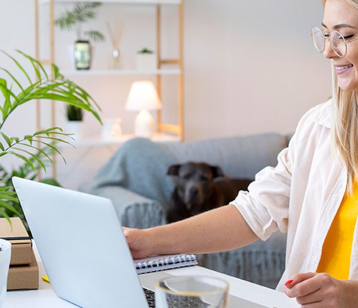 Create amazing strategies for your business projects (Demo)